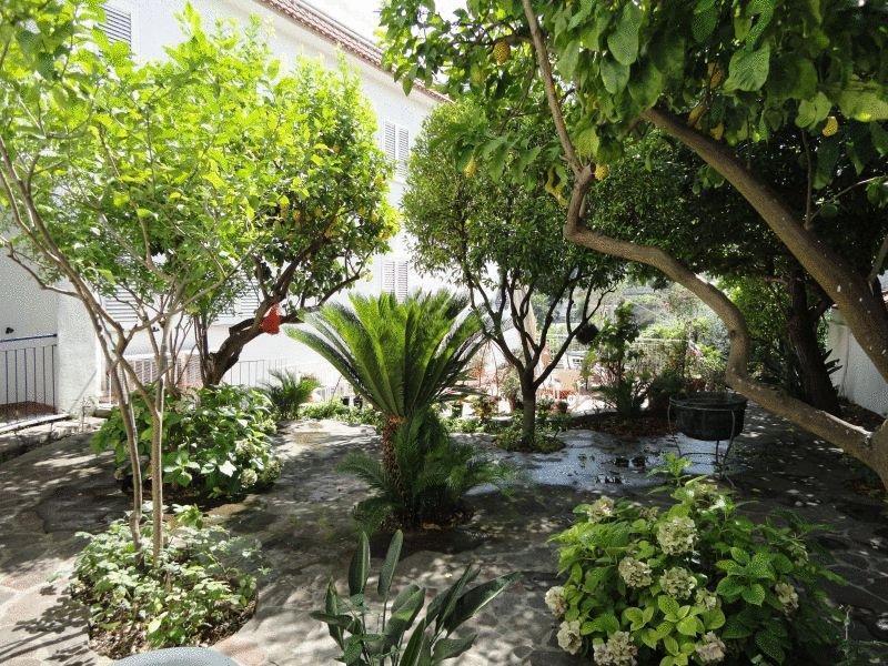 Hotel Candia Casamicciola Terme Екстериор снимка